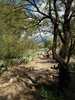 photo thumbnail #14