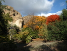 photo thumbnail #11