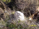 recent photo