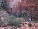 photo thumbnail #4