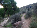 photo thumbnail #7