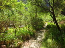 photo thumbnail #6