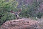 photo thumbnail #14