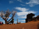 photo thumbnail #10
