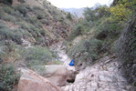photo thumbnail #10