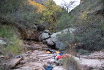 photo thumbnail #11