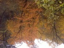 photo thumbnail #14