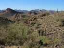 photo thumbnail #2