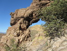 photo thumbnail #5
