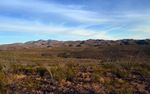 photo thumbnail #8