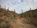 photo thumbnail #5