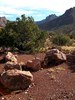 photo thumbnail #14