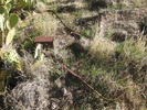 photo thumbnail #4