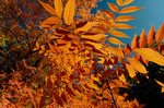 photo thumbnail #11