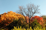 photo thumbnail #13