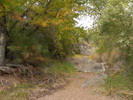photo thumbnail #1