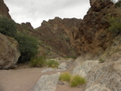 photo thumbnail #2