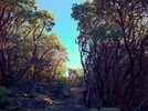photo thumbnail #4