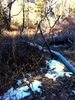 photo thumbnail #7