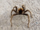 photo thumbnail #1
