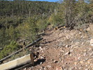photo thumbnail #6