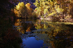 photo thumbnail #10