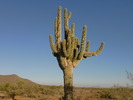 photo thumbnail #1