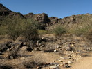 photo thumbnail #2