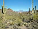 photo thumbnail #14