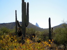 photo thumbnail #11