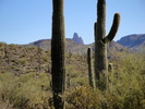 photo thumbnail #10