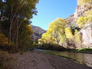 photo thumbnail #12