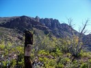 photo thumbnail #3
