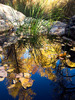 photo thumbnail #11