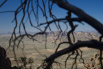 photo thumbnail #7