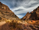 photo thumbnail #11