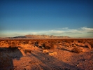 photo thumbnail #13