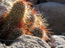 photo thumbnail #8