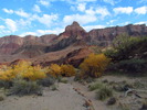 photo thumbnail #11