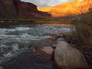 photo thumbnail #15