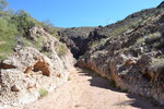 photo thumbnail #2
