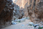 photo thumbnail #5
