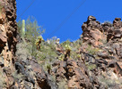 photo thumbnail #7