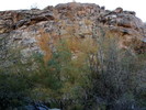 photo thumbnail #9