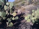 photo thumbnail #1