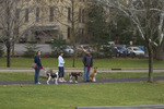photo thumbnail #14