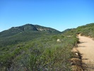 photo thumbnail #1