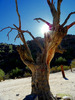 photo thumbnail #7