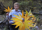 photo thumbnail #7