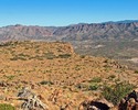 photo thumbnail #11